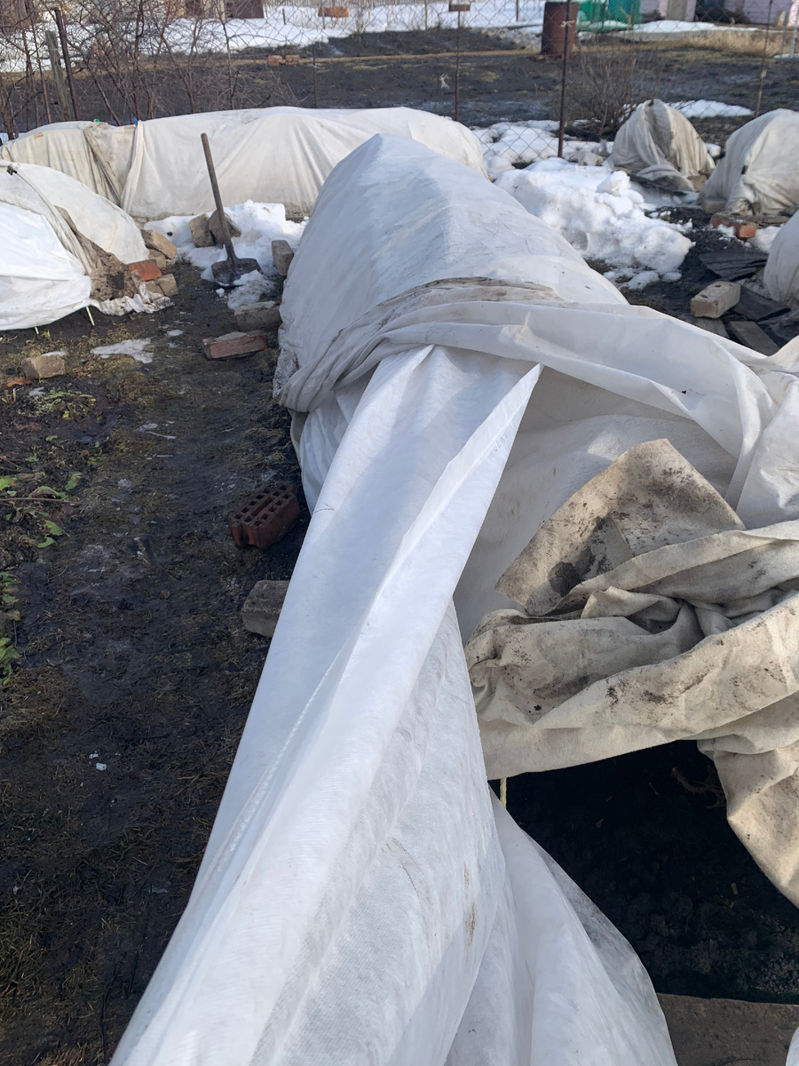 фото от 3 апреля 2025 года