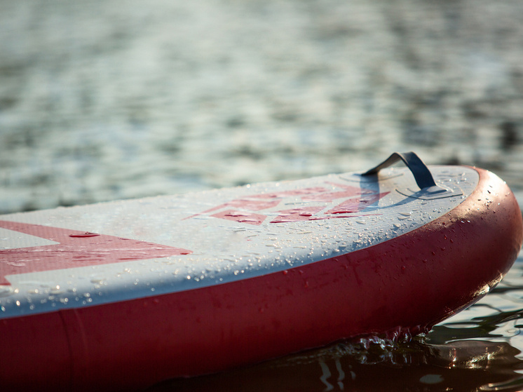     Фото: ru.freepik.com