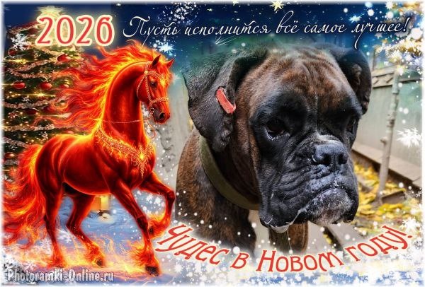 🎄🎄С наступающим Новым годом от Шевы