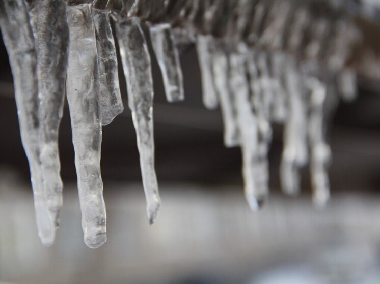     В Северной столице пройдет снег, местами с мокрый, на дорогах и тротуарах будет гололедица. Фото: архив МК в Питере