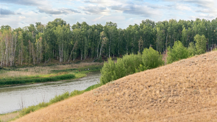    правительство Омской области