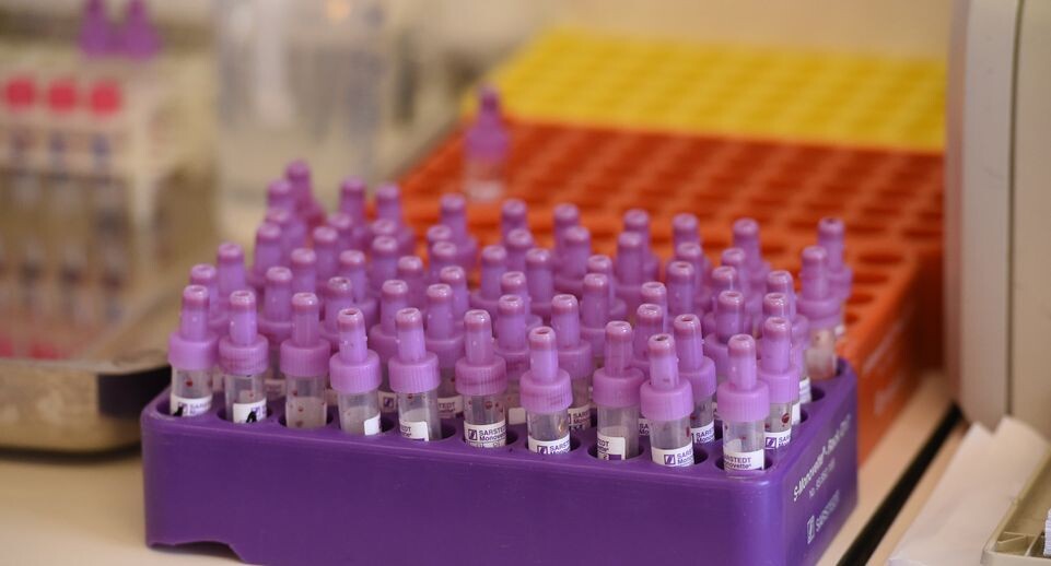    Медиасток.рф