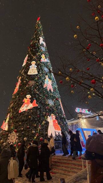 Новогодняя красавица