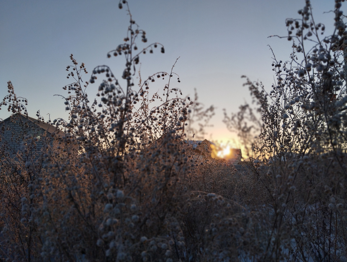 Утро раннее, -25