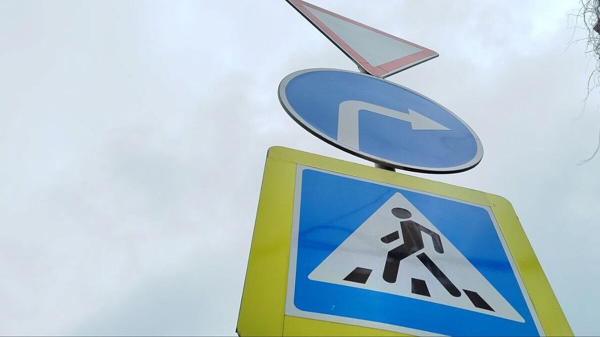    Фото: телеканал «Краснодар»