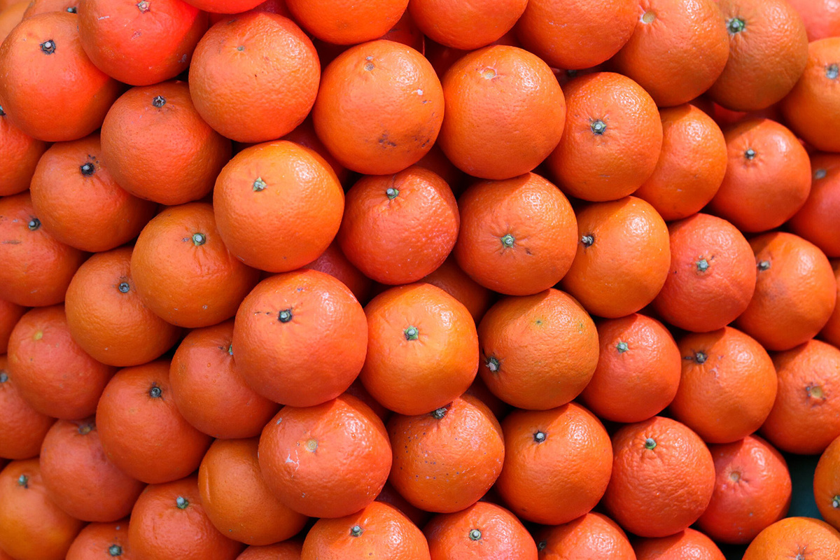    Василий Кузьмичёнок / Агентство «Москва»