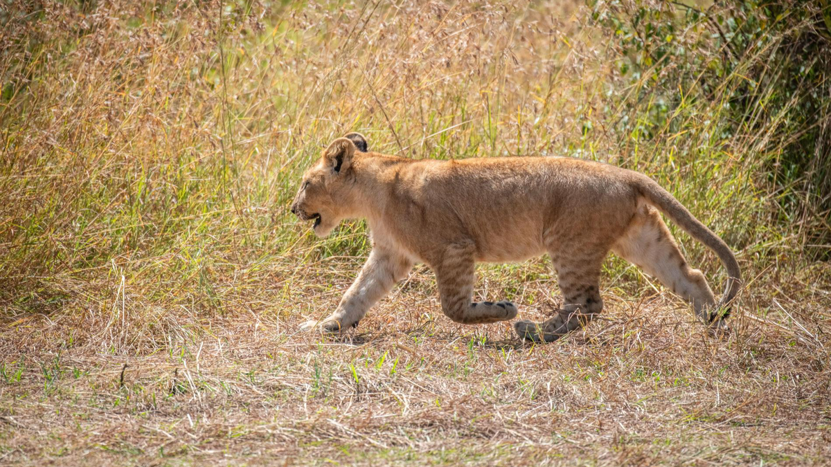    Фото: Legion media