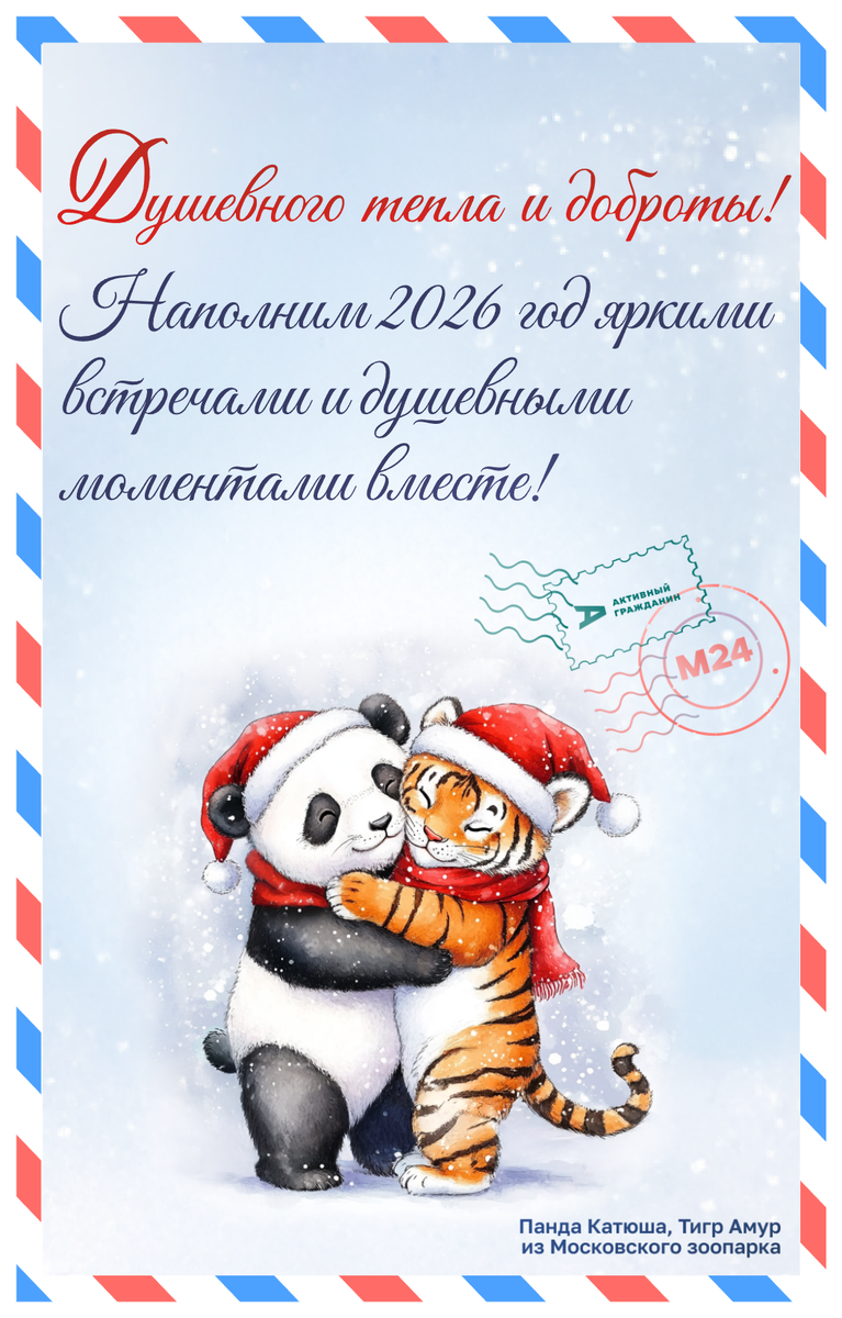 Открытка с сайта Активный гражданин (фото автора) Панда Катюша и Тигр Амур из Московского зоопарка 