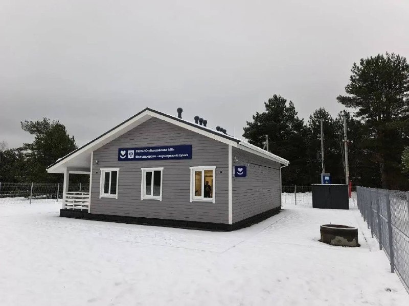    фото: © Олег Ермолаев / TG