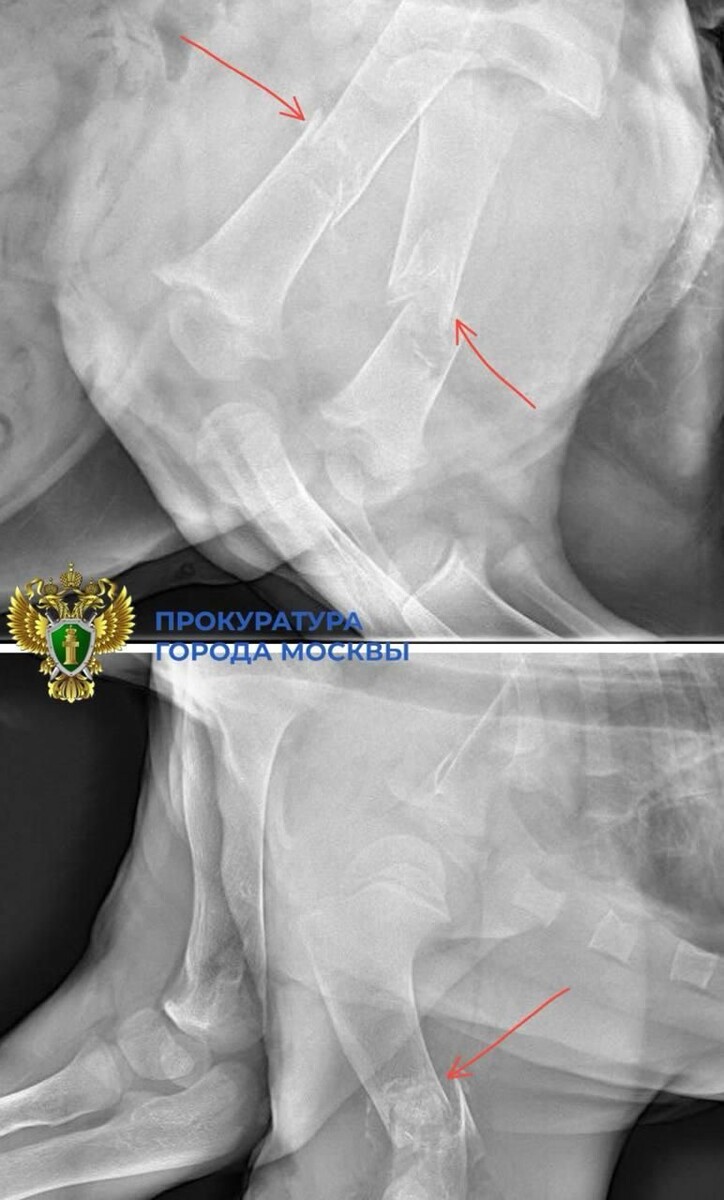     Прокуратура Москвы
