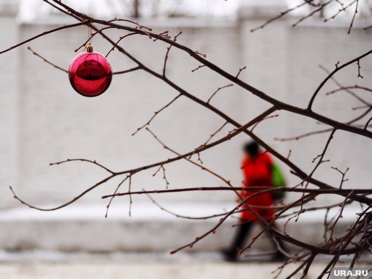     В поселке Челябинской области власти запретили жителям праздновать Новый год
