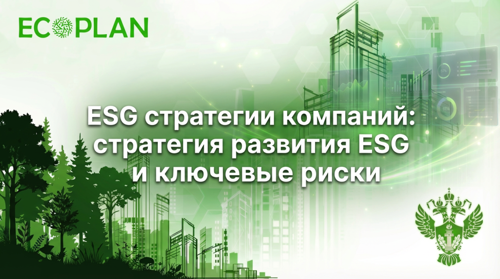    Обзор ESG стратегий в компаниях и связанных рисков Ecoplan