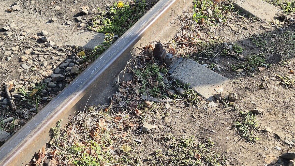    Фото: телеканал «Краснодар»