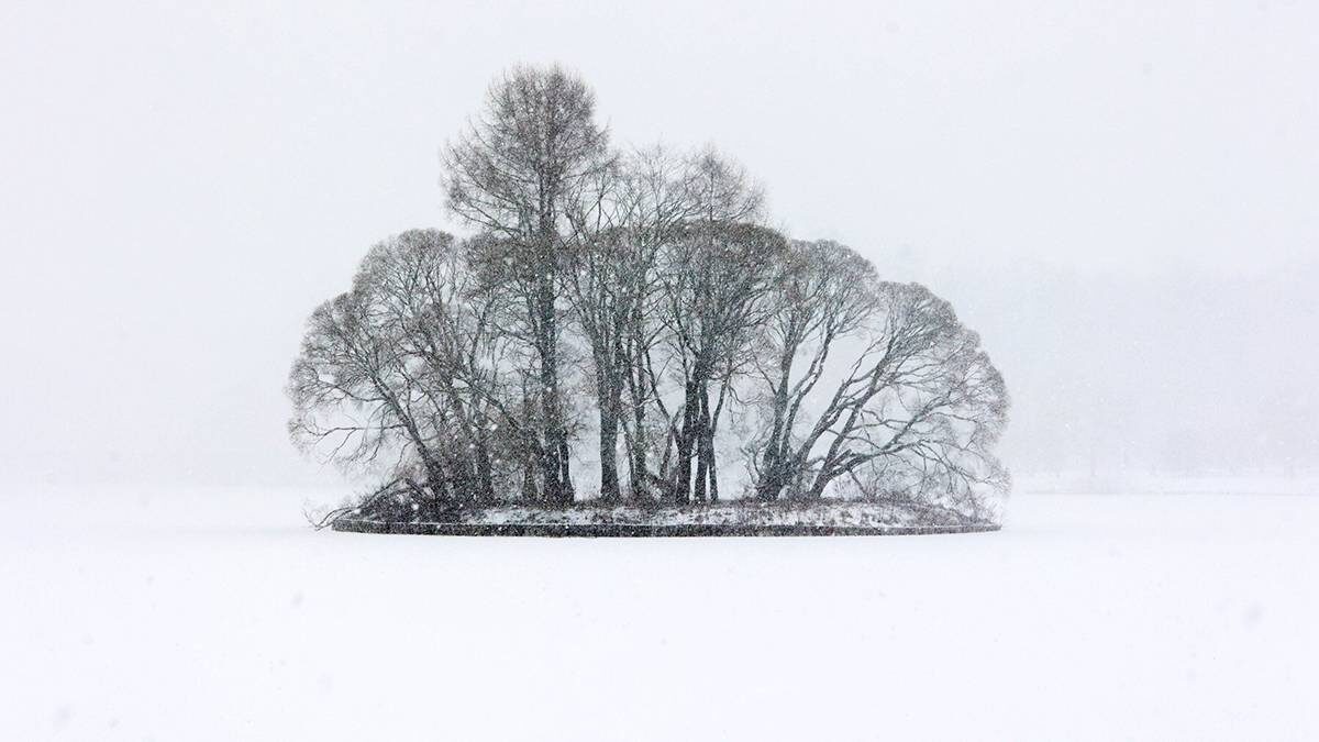    Фото: Ярослав Чингаев / АГН Москва