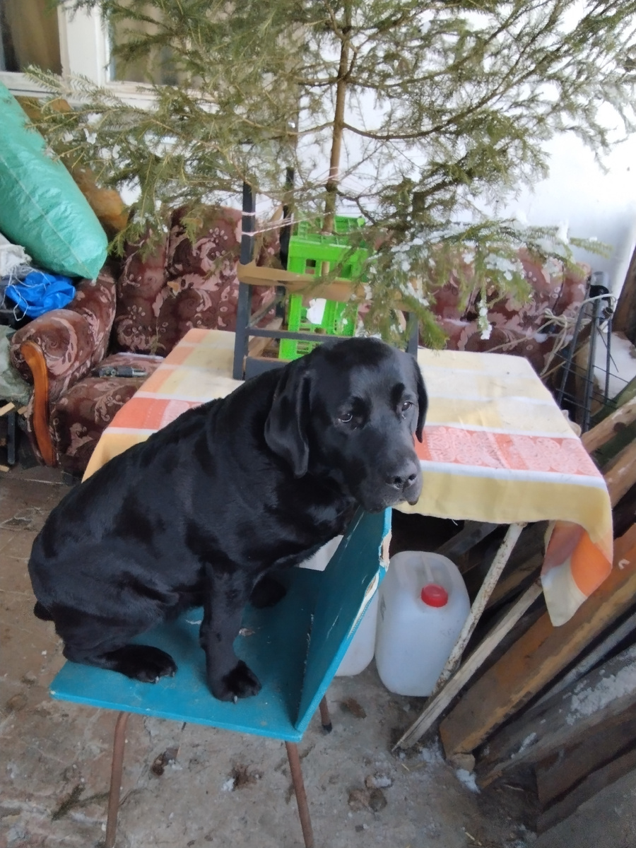 Фото автора.