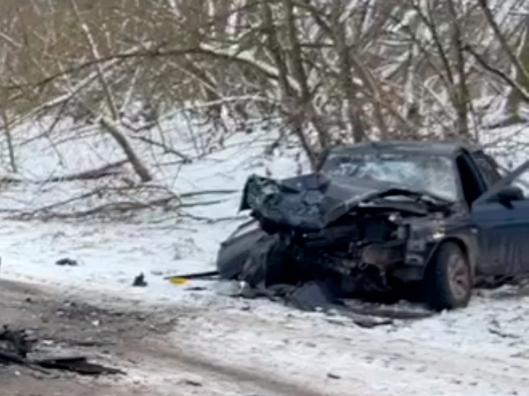     фото: телеграм-канал ГОСАВТОИНСПЕКЦИи БРЯНСКОЙ ОБЛАСТИ