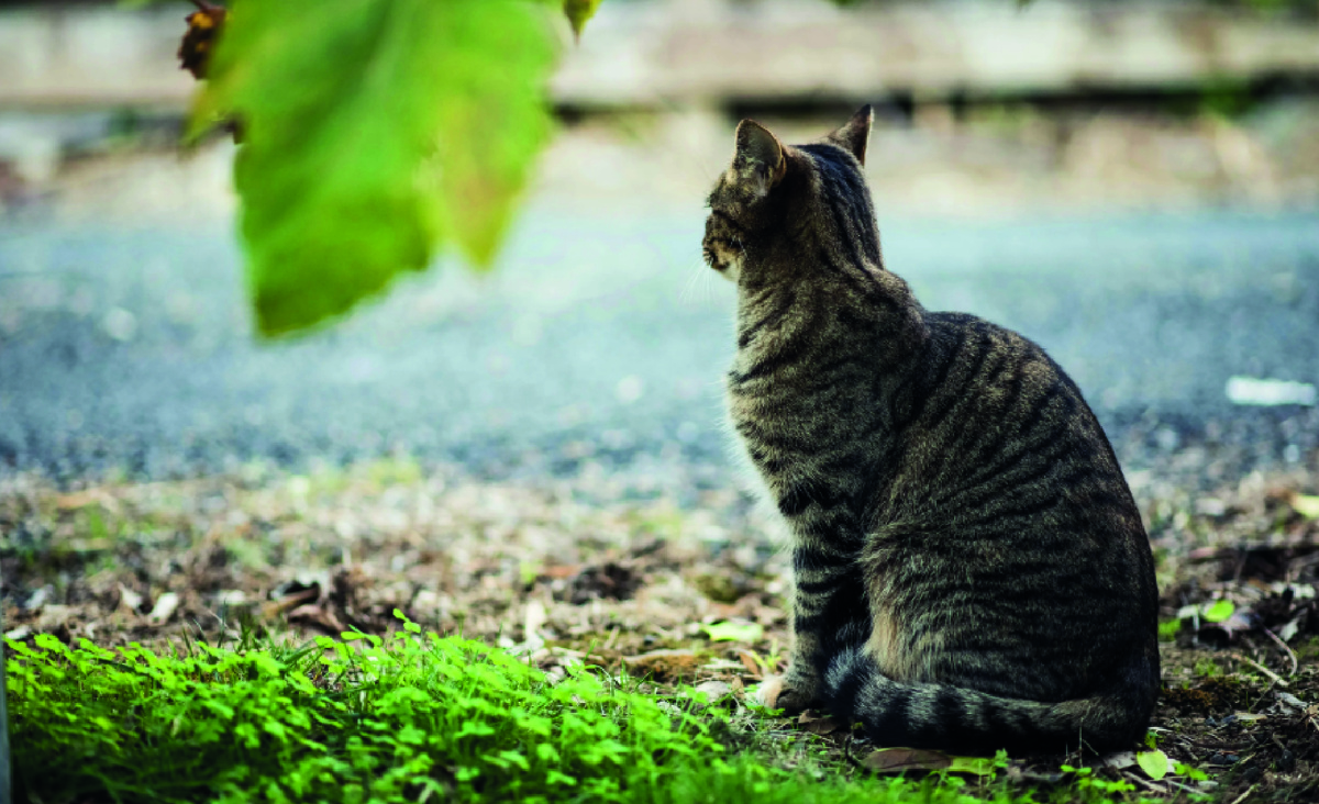 Фото: Unsplash.com.