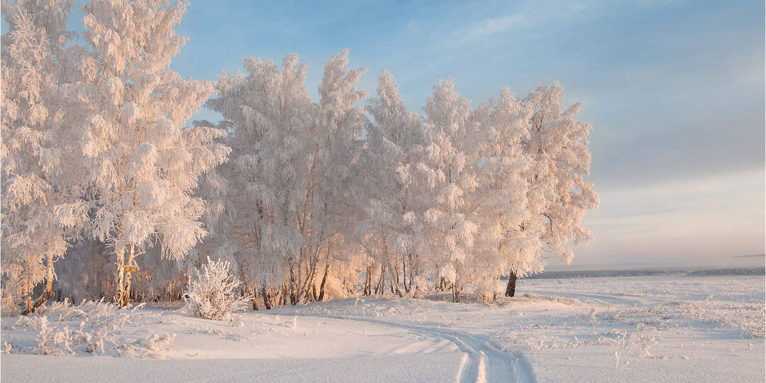 Славянские праздники в январе