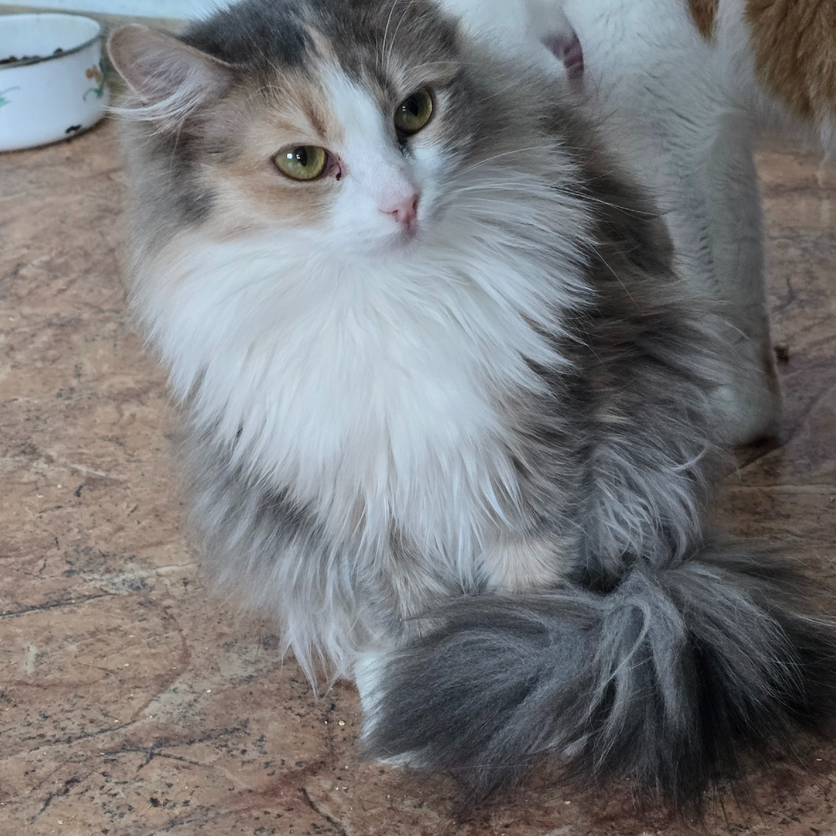 зелёные глаза полные грусти и надежды