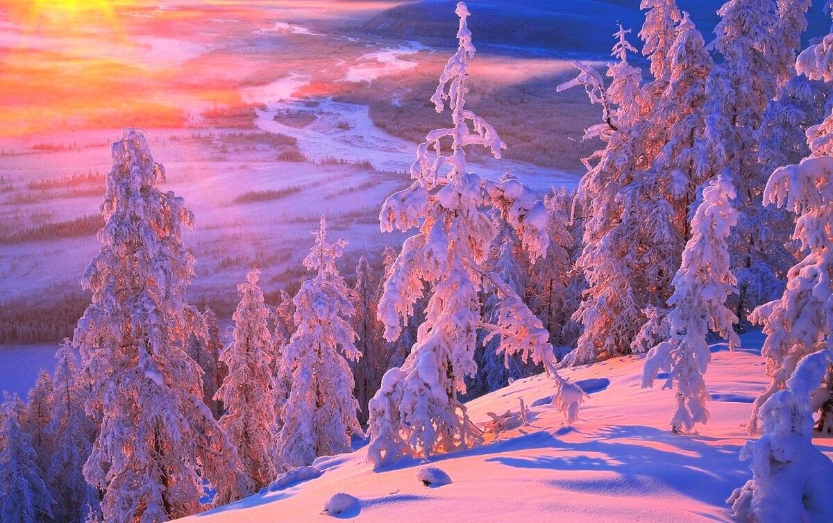 Картинка найдена на просторах интернета, ссылка https://yandex.ru/images/search?from=tabbar&img_url=https%3A%2Fi%2F.pinimg.com%2Foriginals%2Fa8%2F34%2Fа3f%2Fa83р43f851с2879b5e7bd5315274cf0591a19.jpg&lr=47&pos=15&rpt=simage&text=%D1%86%D0%B2%D0%B5%D1%82%D1%8B%20%D0%BA%D1%80%D1%83%D0%BF%D0%BD%D0%BE%20%D1%84%D0%BE%D1%82%D0%BE 