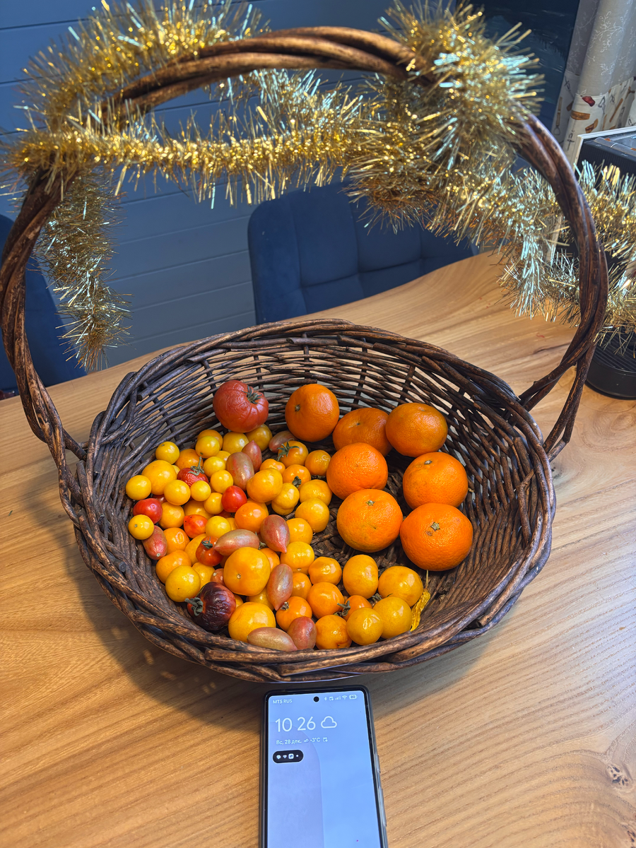 28 декабря 2025 г свои помидоры и новогодние мандарины