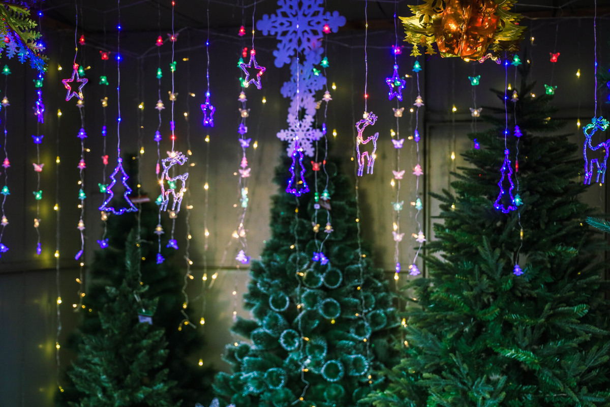    Фото: ТРК Таврия