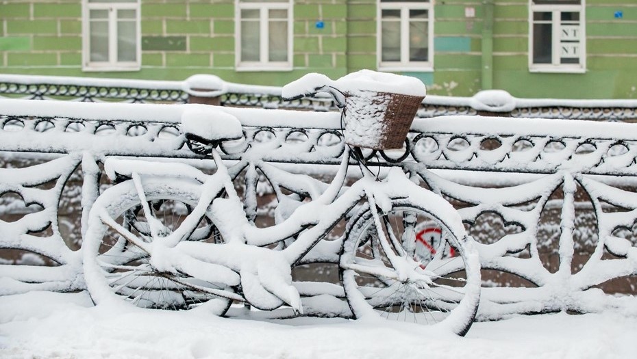    Автор фото: Ермохин Сергей