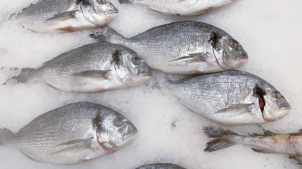 Фото: Игорь Елисеев / Коммерсантъ