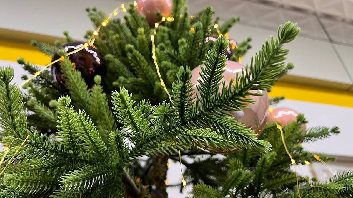    Фото: телеканал «Краснодар»