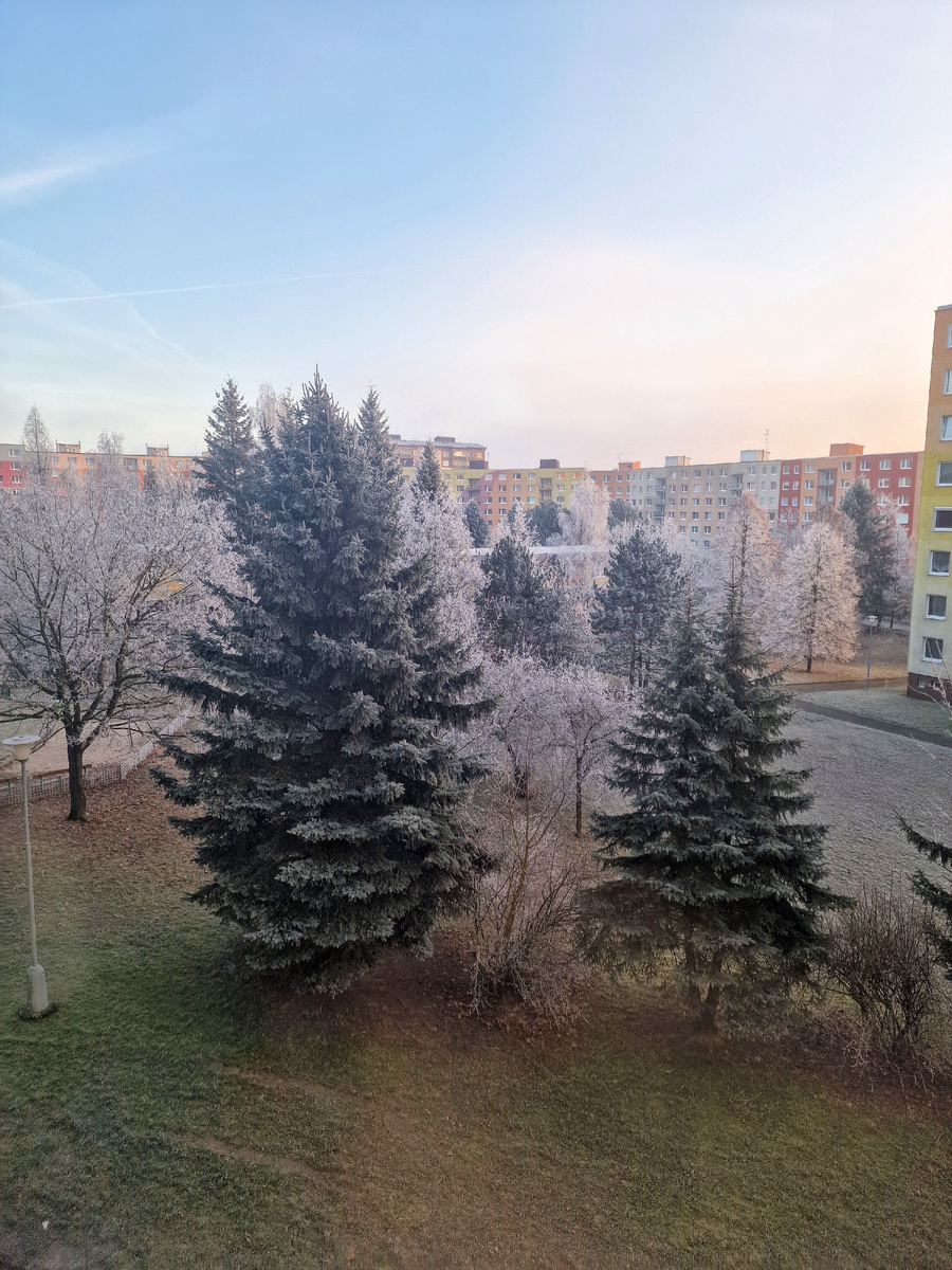 фото автора: а вчера у нас было вот такое утро...