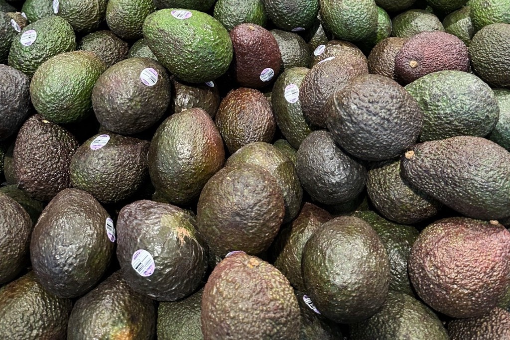    Фото © Nam Y. Huh / AP / ТАСС