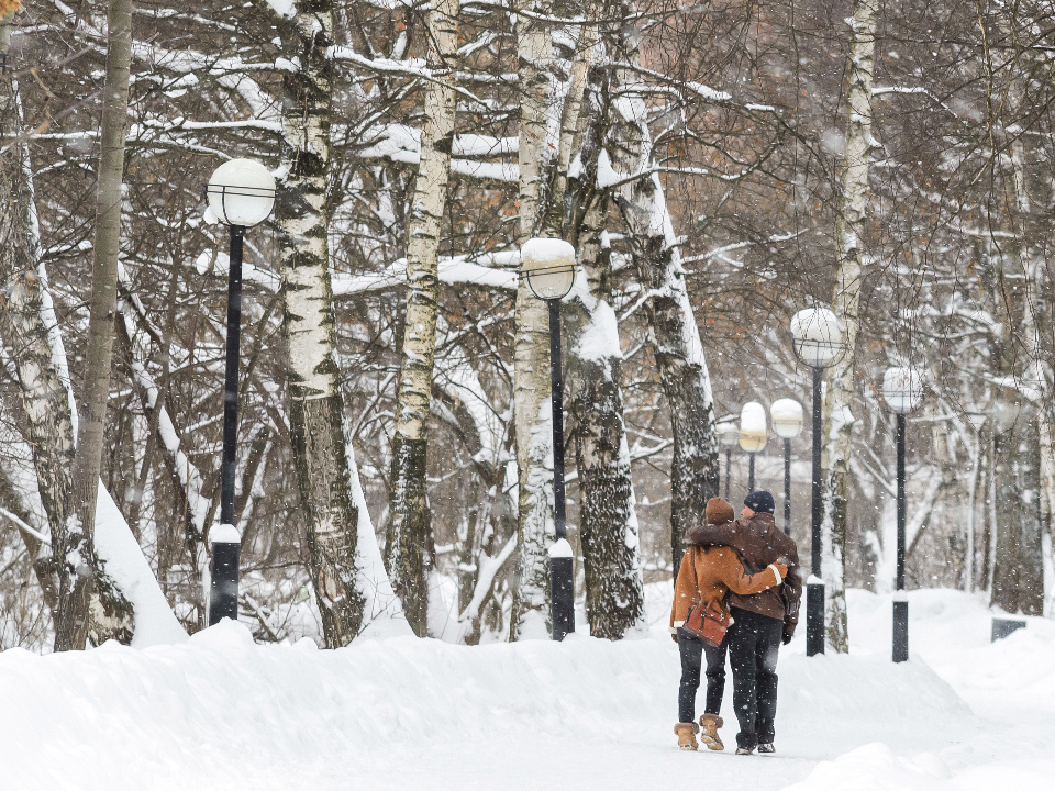    Фото: медиасток.рф