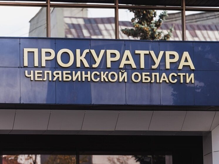     Фото Александра Файрузова (агентство «ЧелябинскСегодня»)