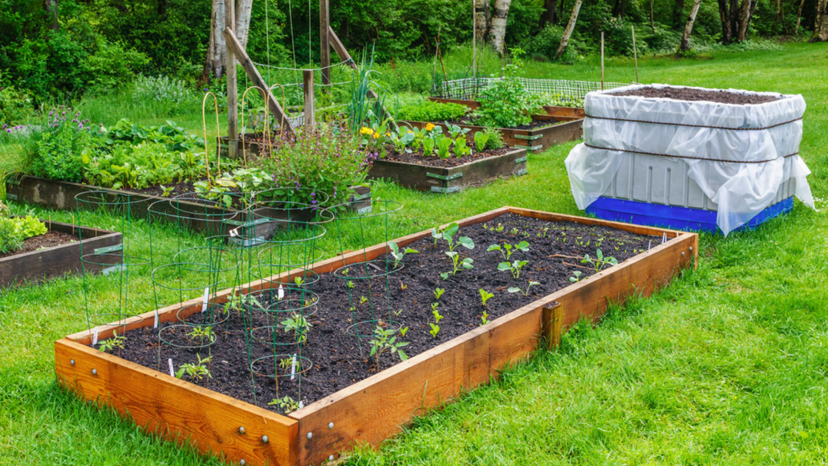 Мой участок после: из песчаной пустыни в плодородный огород