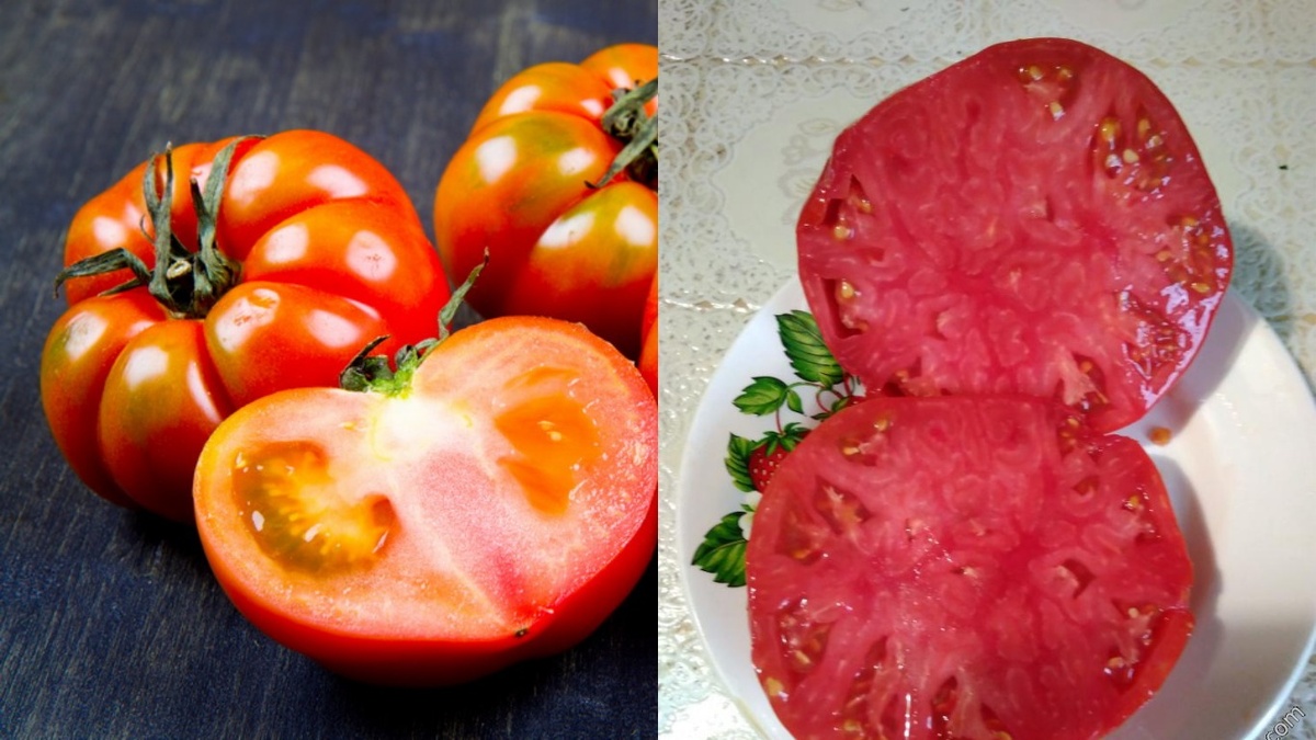 Видите разницу? Справа настоящий домашний урожай