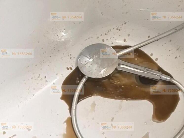     Фото: Портал "Наш Санкт-Петербург".