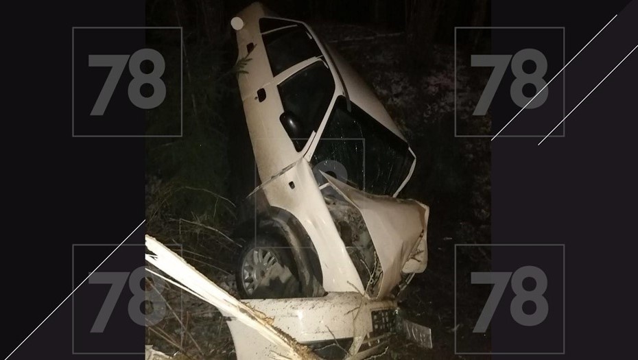    Автор фото: 78.ru