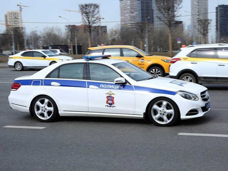     Фото: Лилия Шарловская/ «МК».