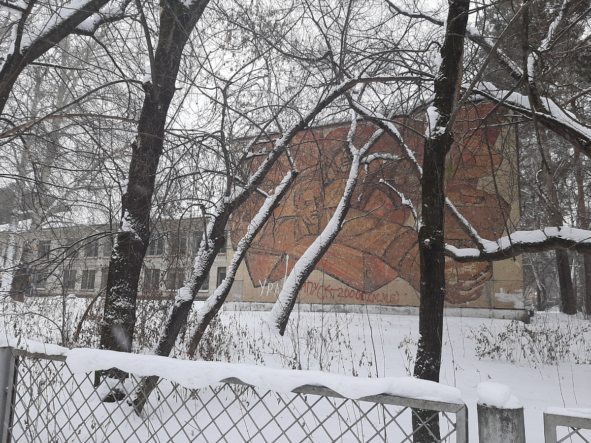 Бывшая школа #182