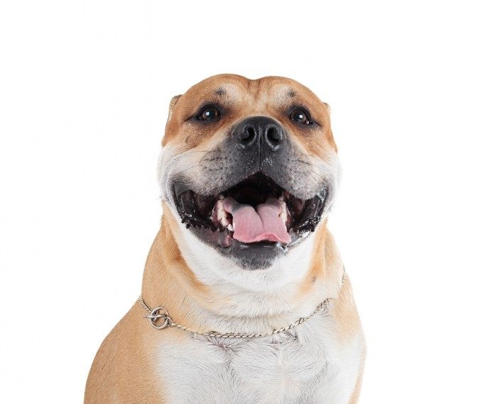 Яндекс Картинки.