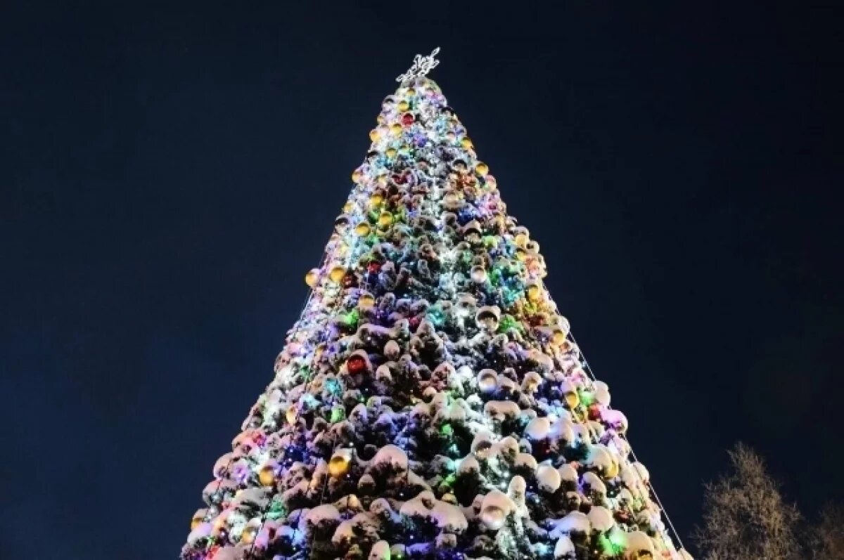    В Ухте и на Яреге при поддержке нефтяников открыли новогодние ёлки