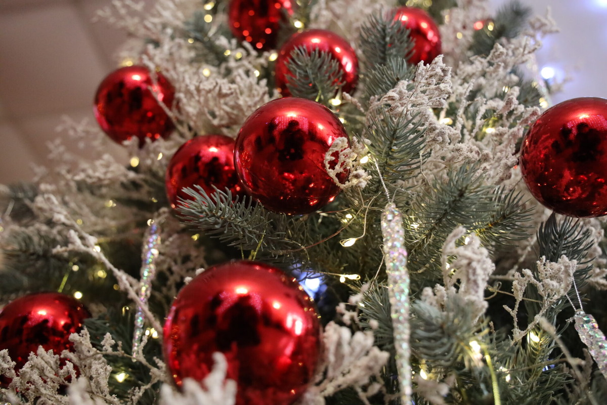    Фото: ТРК «Таврия»