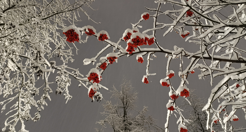    Фото: volgogradru.com