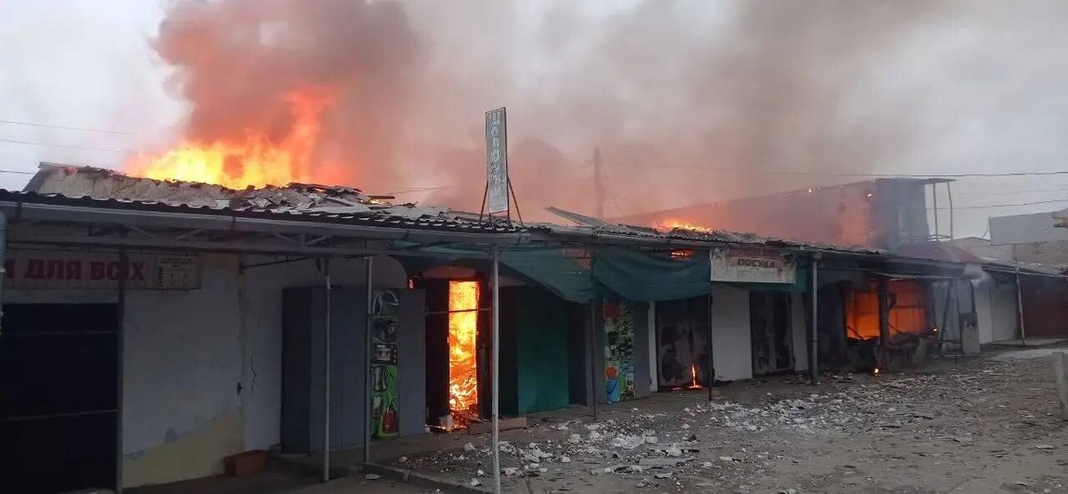    Фото: телеграм-канал Владимира Оганесова