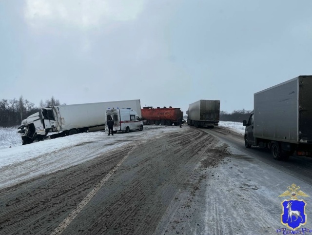    Фото ГУ МВД РФ по Самарской области