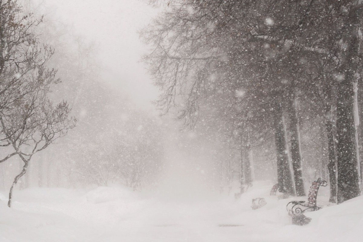    Фото: Istock/Алик Фатхутдинов