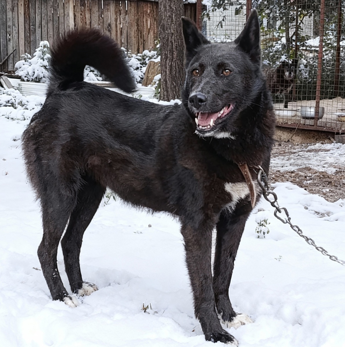 Где мои родители?!