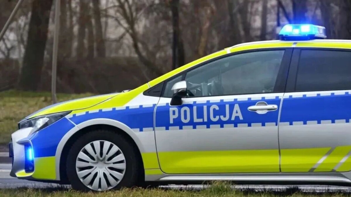    Фото: FotoDax/Shutterstock/Fotodom