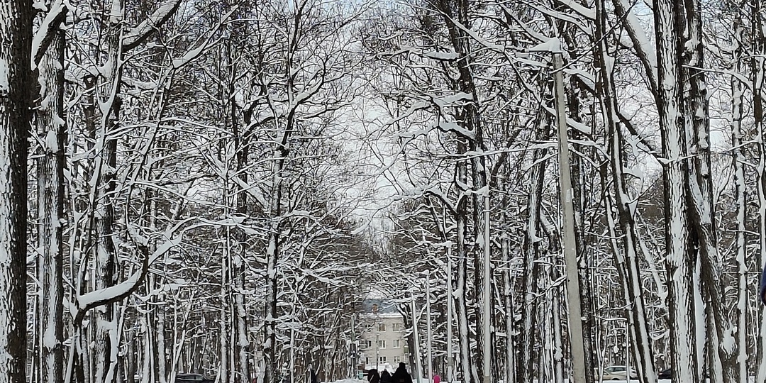 Новогодние каникулы мамАни с двумя дошкольниками