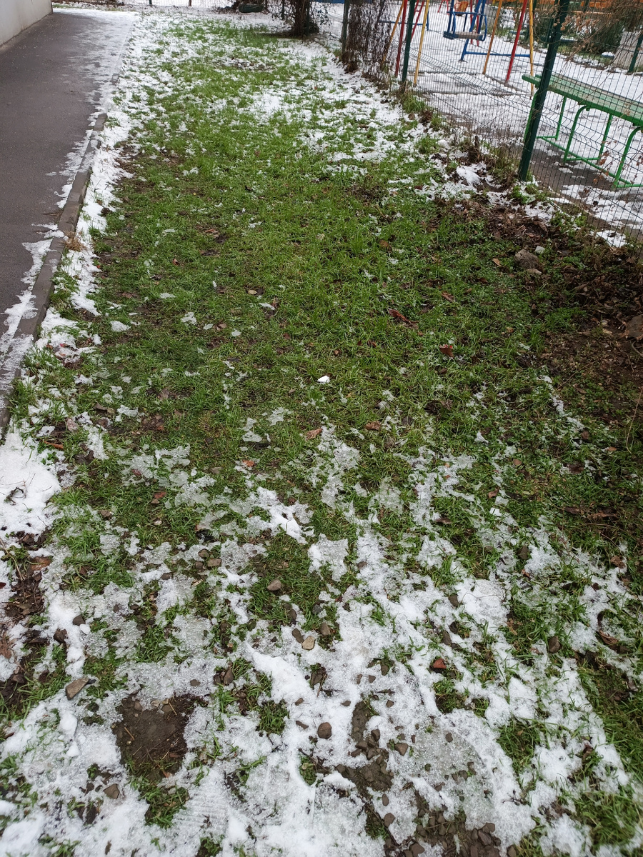 Фото пвтора